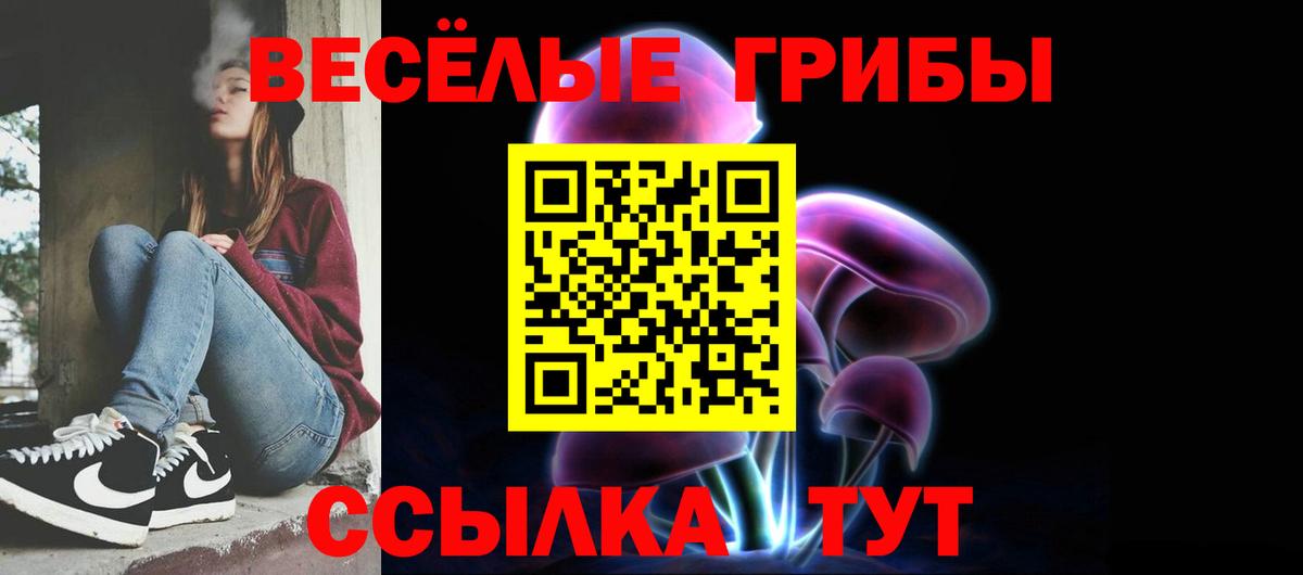 Галлюциногенные грибы Cubensis Коркино